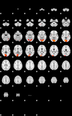 Patients 29116 128