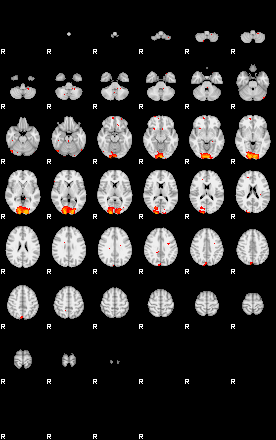 Patients 29213 11