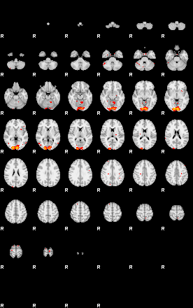 Patients 29797 7