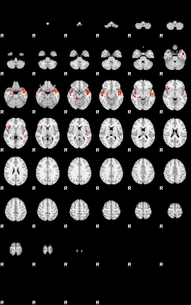 Patients 29025 29