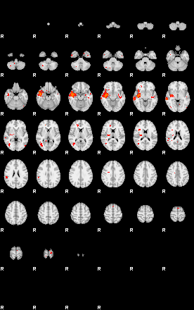 Patients 29106 45