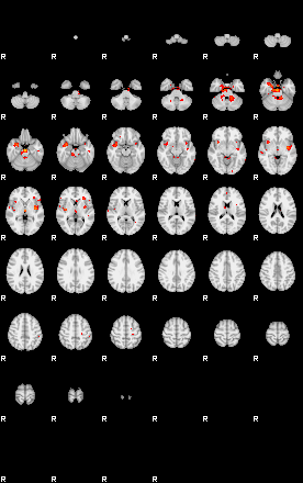 Patients 29112 81