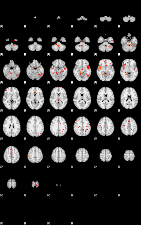 Patients 29203 45