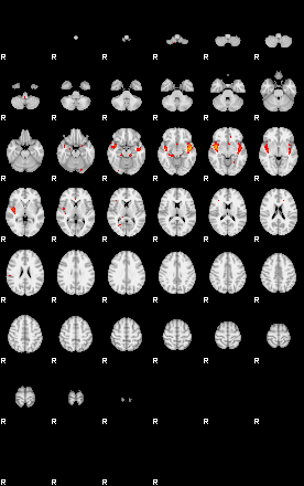 Patients 29219 158