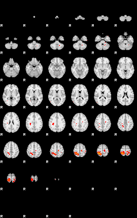 Patients 29166 146