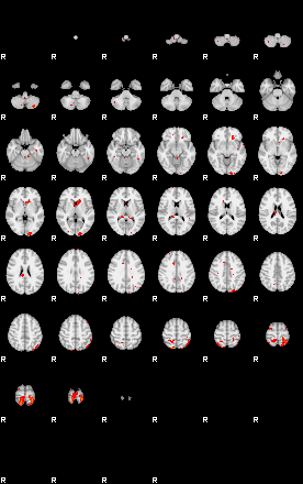 Patients 29219 140