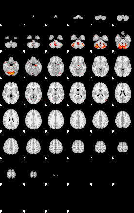 Patients 29102 67