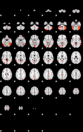 Patients 29207 63