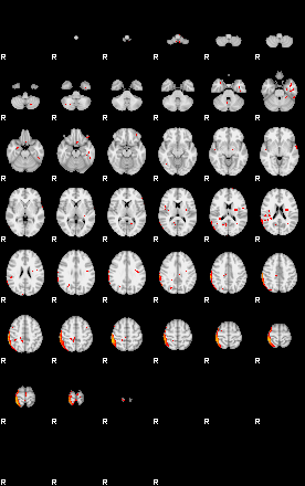 Patients 29010 147