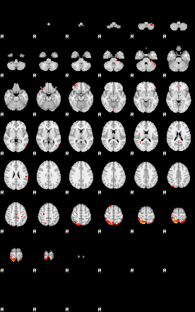 Patients 29116 196