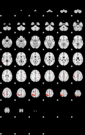 Patients 29159 147