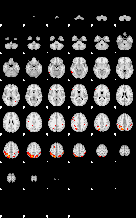 Patients 29217 119