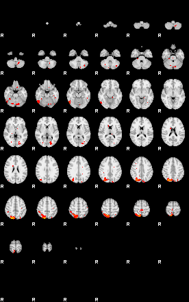 Patients 29664 2