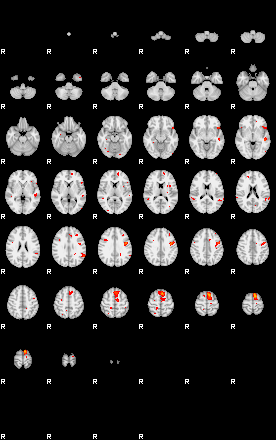 Patients 29181 184