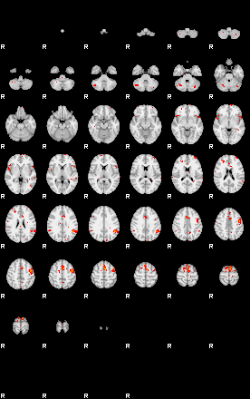 Patients 29509 51