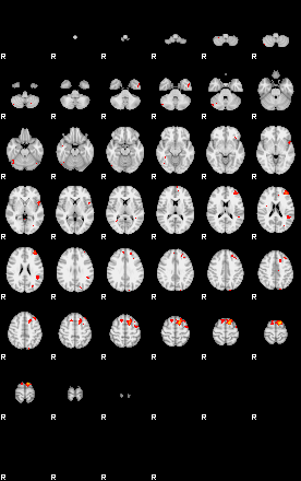 Patients 29677 52