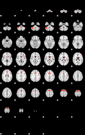 Patients 30016 41