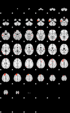 Patients 29169 145