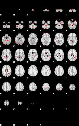 Patients 28675 13