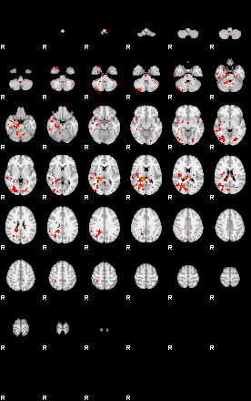 Patients 28676 96