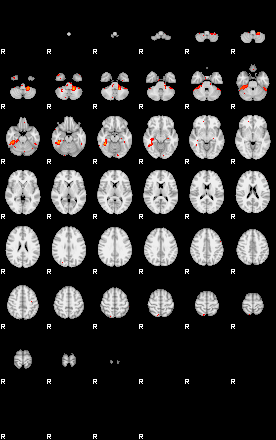 Patients 28718 89