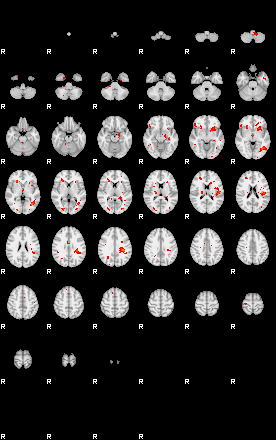 Patients 29104 41