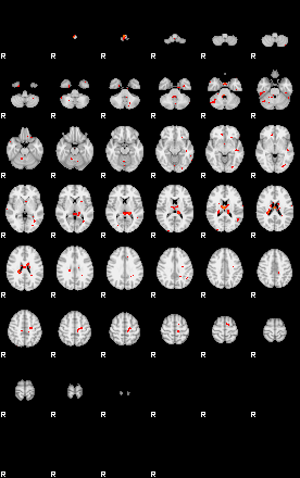 Patients 29177 196