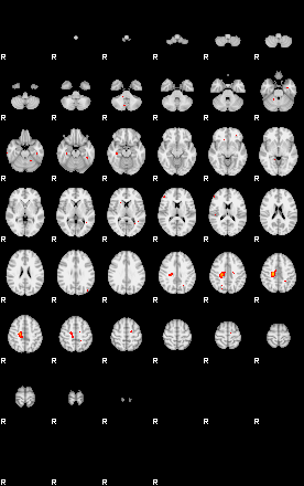 Patients 29182 145