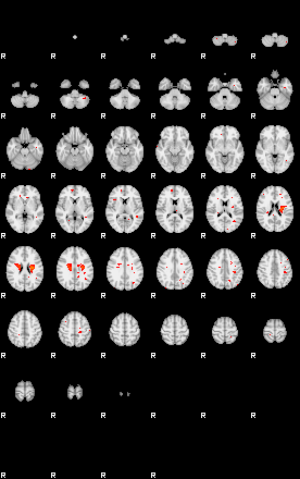 Patients 29207 25