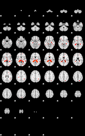 Patients 29281 197