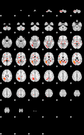 Patients 29433 151