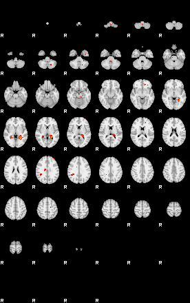 Patients 29661 81