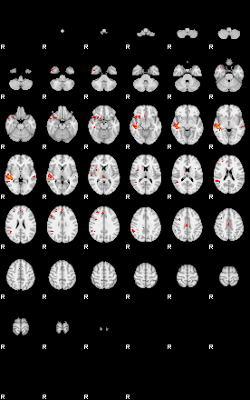 Patients 30005 91