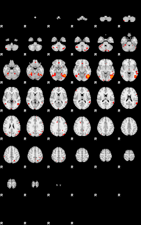 Patients 29065 8