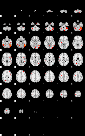 Patients 29273 48