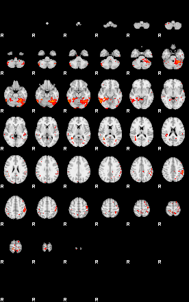 Patients 29506 16