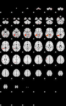 Patients 29665 134