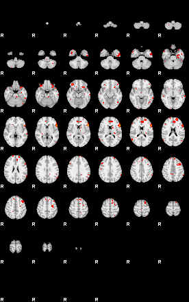 Patients 29204 73