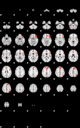 Patients 29735 16