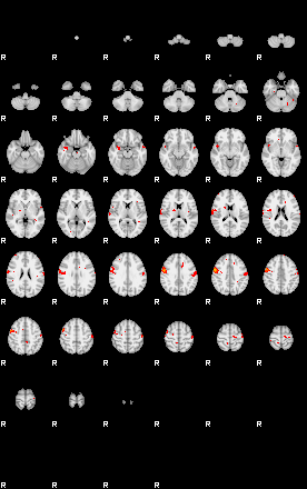 Patients 29204 40