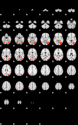 Patients 28790 95