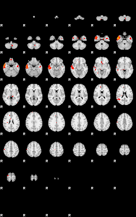 Patients 29105 163