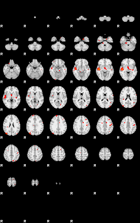 Patients 29165 102