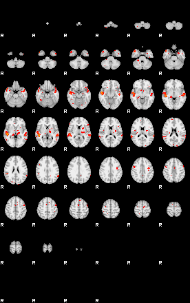 Patients 29181 158