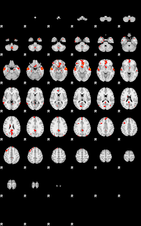 Patients 29209 24