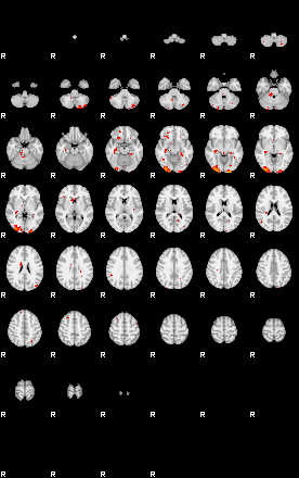 Patients 29221 83