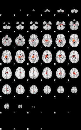 Patients 28677 53