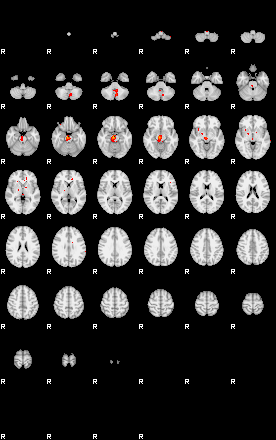 Patients 28694 40