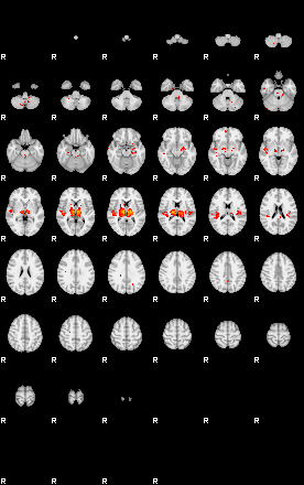 Patients 29031 81