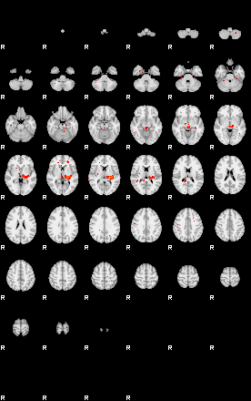 Patients 29104 96